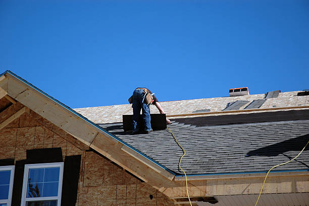 Best Roof Gutter Cleaning  in Braidwood, IL