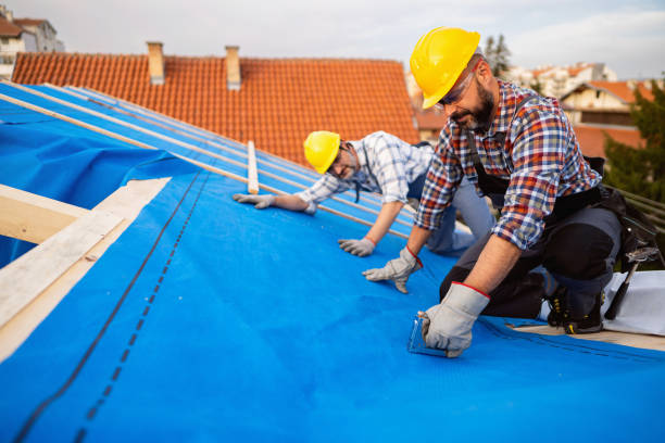 Best Residential Roofing Contractor  in Braidwood, IL