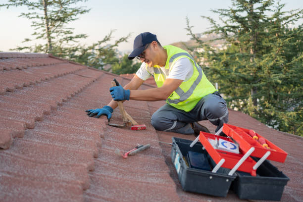 Best Metal Roofing Contractor  in Braidwood, IL